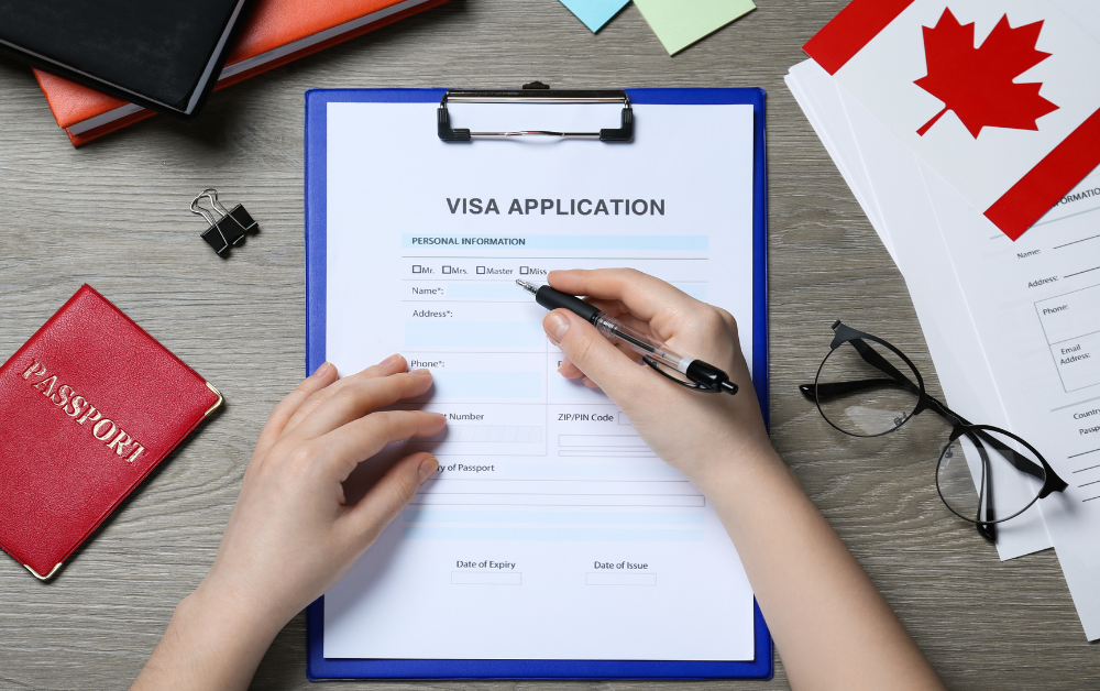 Visa Application