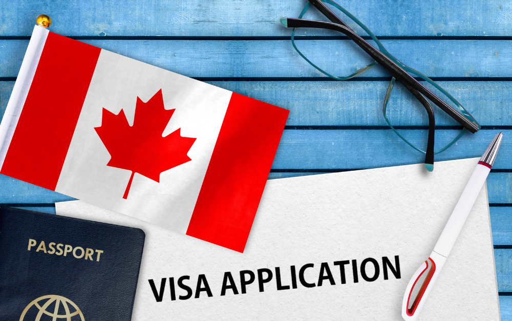 Visa Application